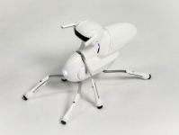 DFRobot представила свой робот Antbo DIY