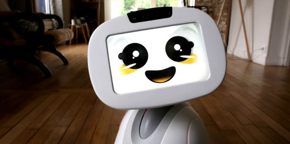 1000 персональных-роботов уже доступные для предварительных заказов