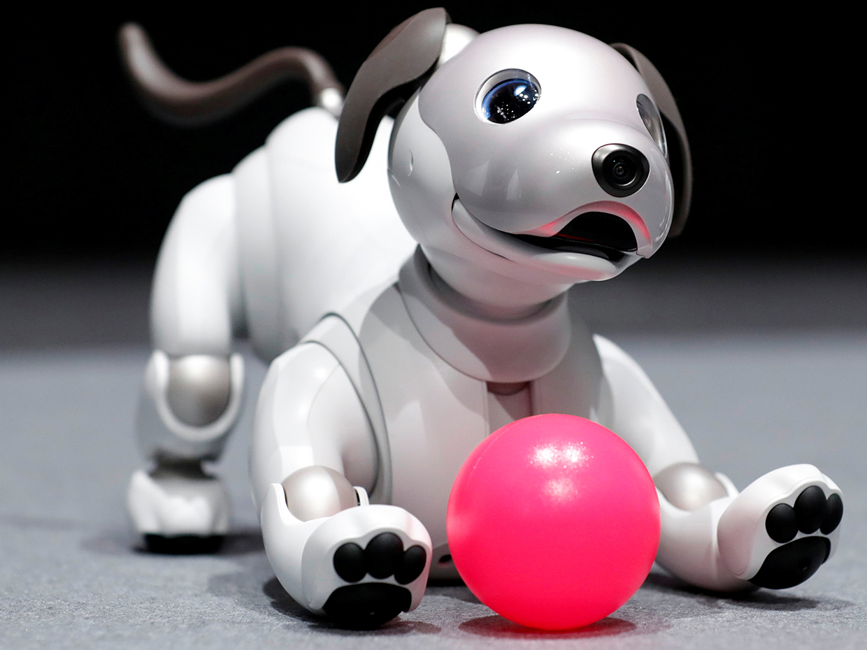 Sony выпускает новую собаку Aibo Robot