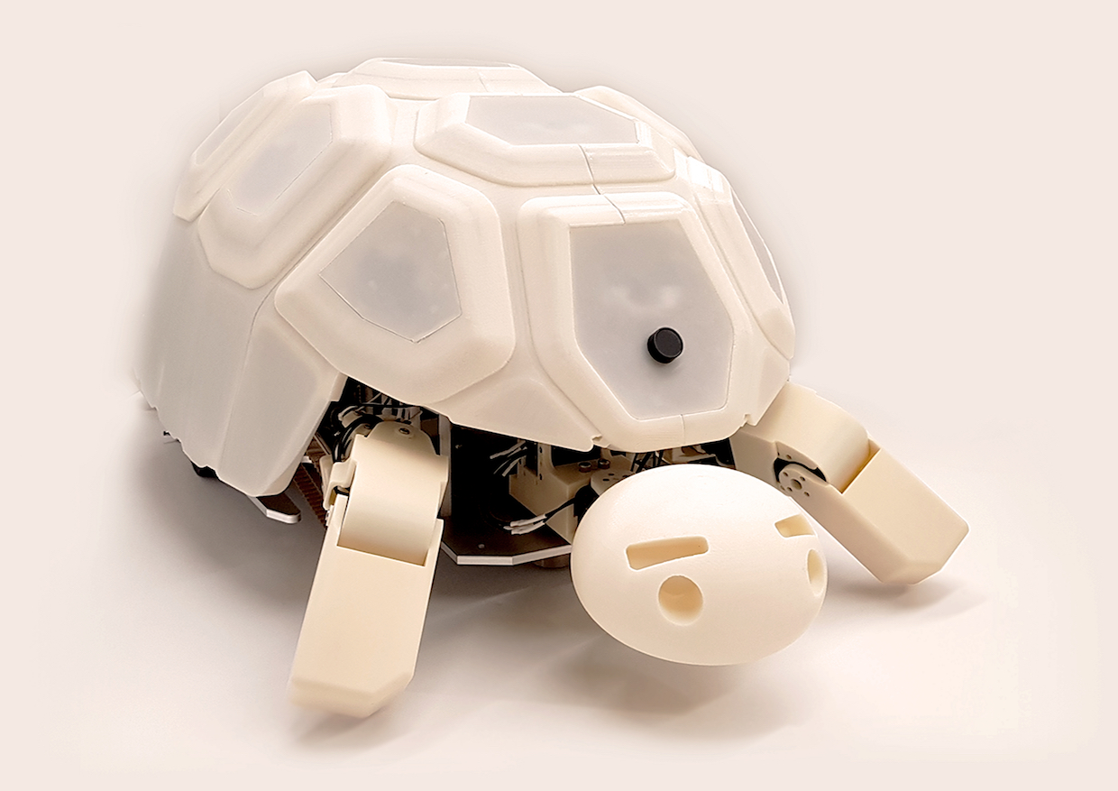 Роботизированная черепаха помогает детям узнавать, что злоупотребление роботом - это плохая вещь
