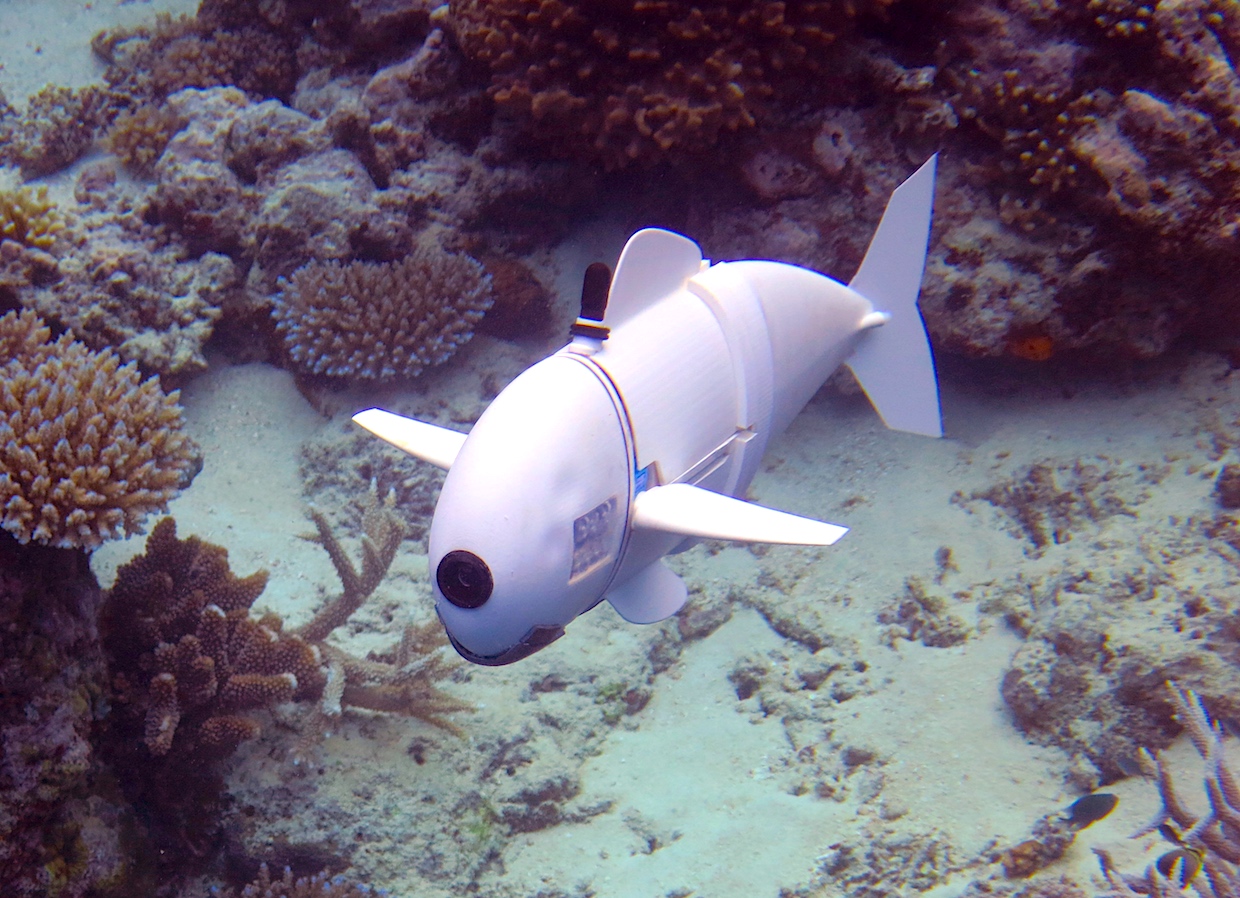 Мягкая роботизированная рыба MIT изучает рифы на Фиджи