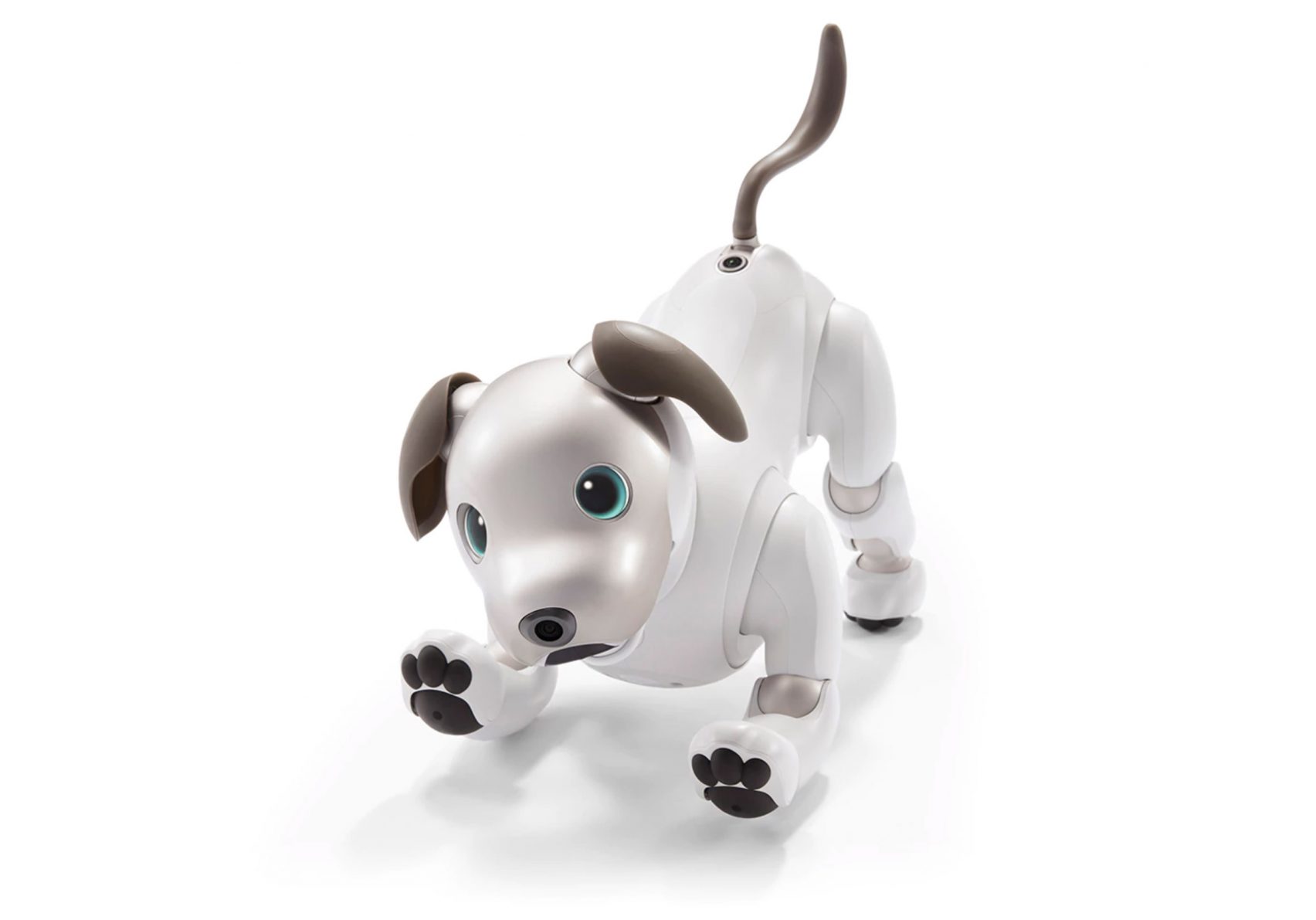 Aibo Robot Dog возвращается в 2018 году