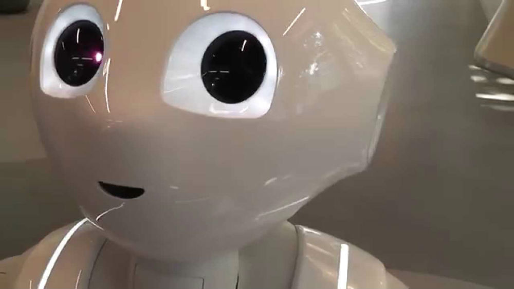 Дебют Pepper Humanoid Robot во Франции
