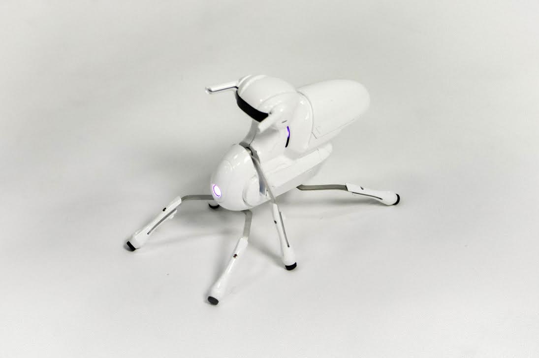 DFRobot представила свой робот Antbo DIY