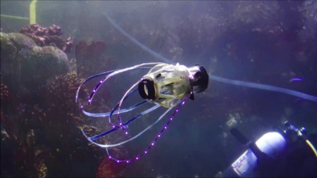 Робот Squidbot который движется как настоящий кальмар