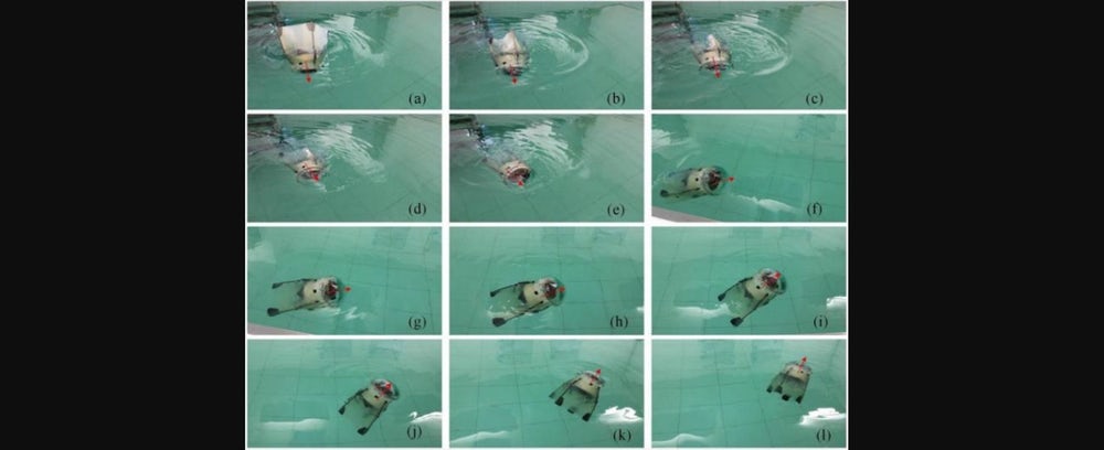 Роботизированная медуза автономно функционирует под водной гладью