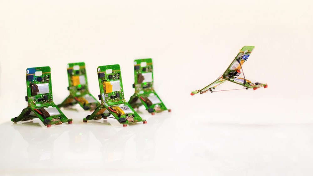 Крошечные вдохновленные муравьями Tribots используют коллективный интеллект 