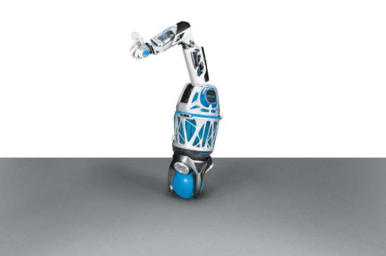 Изящные роботы-стрижи BionicSwifts способны летать