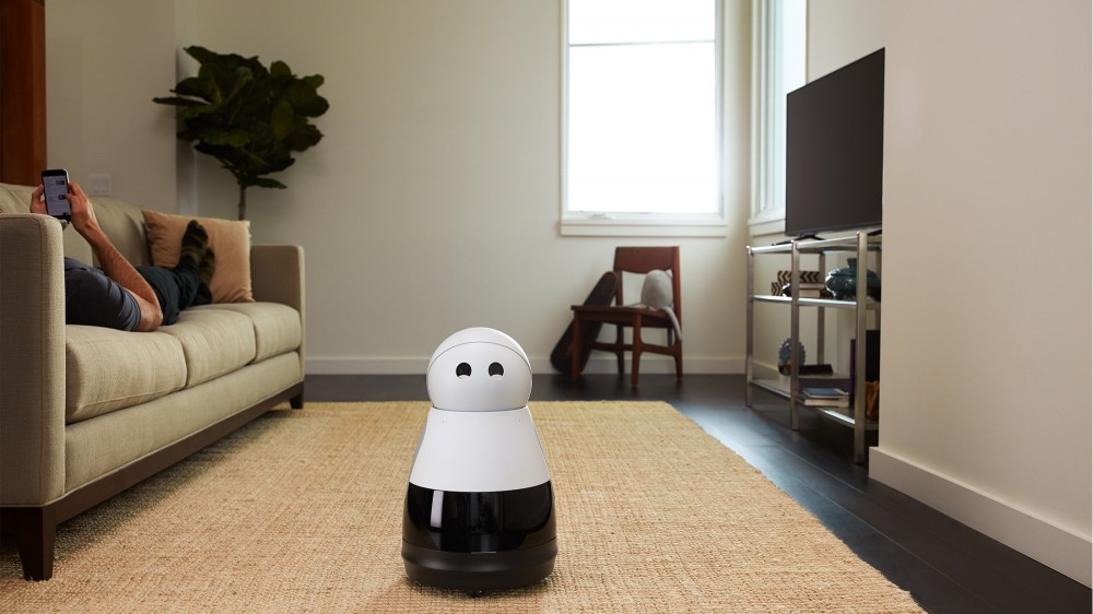 Кури Робот хочет присоединиться к вашей семье