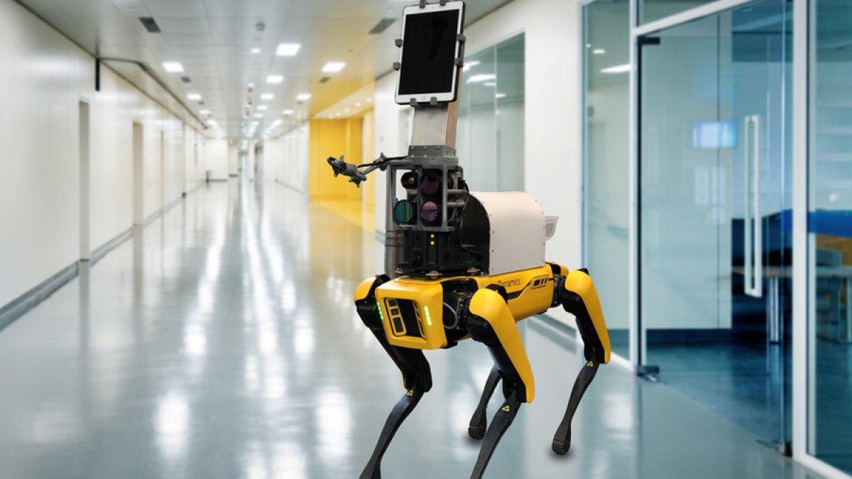 Робот Dr Spot теперь может отслеживать жизненные показатели пациента с COVID-19 на расстоянии в 6 футов