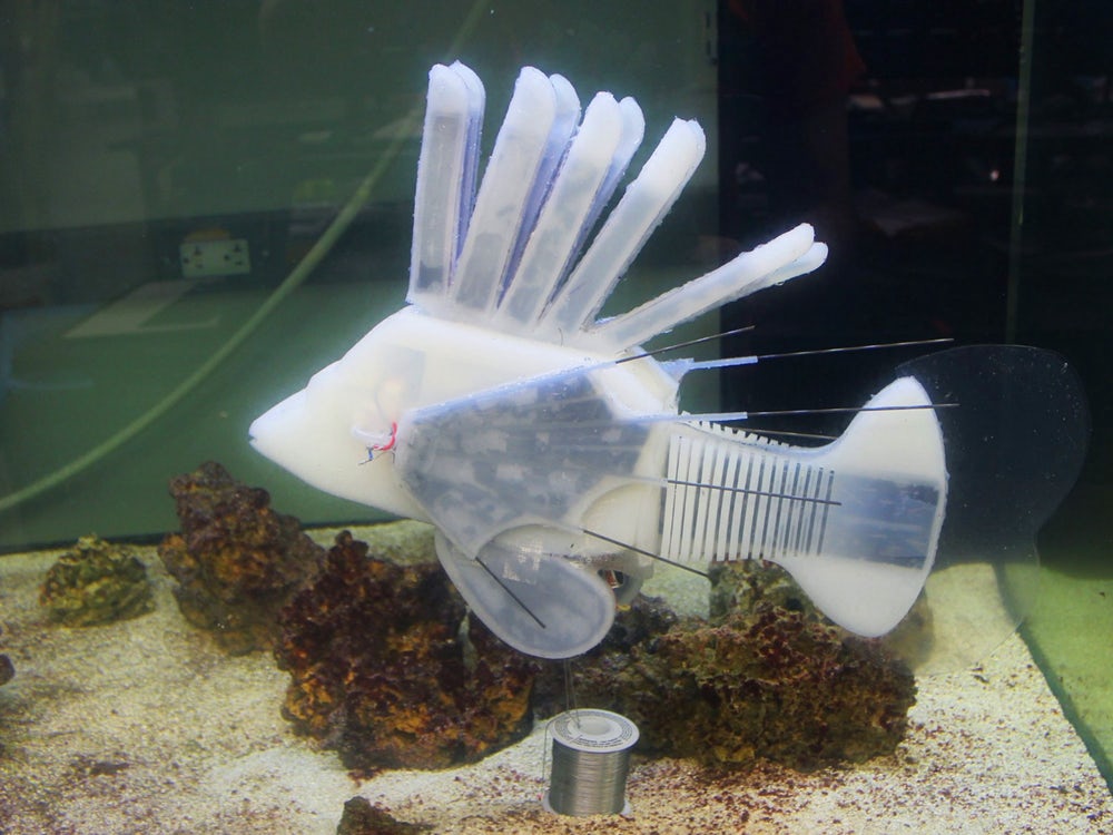Робо-рыба питается от батареи, которая по структуре схожа с кровеносной системой