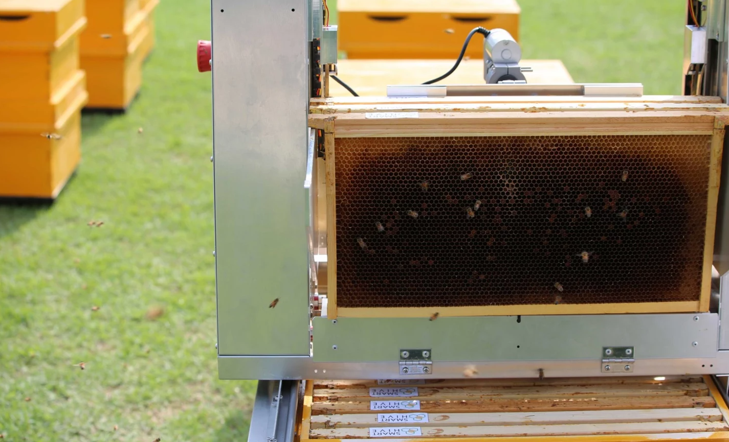 Показана система Hive Controller предназначенная для извлечения сот из улья