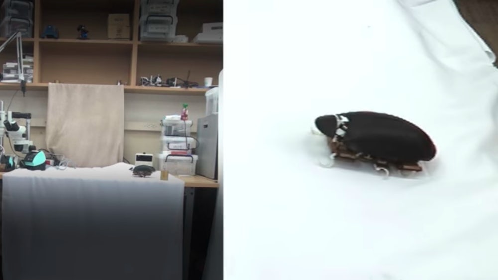 Прыгающий таракан-робот