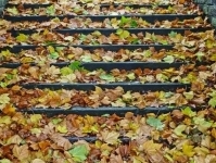 Экзоскелеты и протезы роботов для обеспечения более безопасной ходьбы может улучшить ИИ