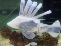 По структуре схожей с кровеносной системой батареей питается Робо-рыба