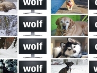 Учим компьютеры думать как ученые