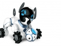 Заменят ли роботы-собаки нашего лучшего друга?