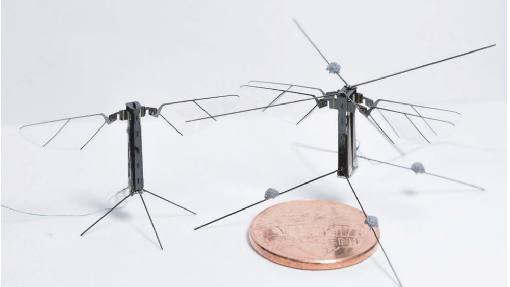 Robo Bee - прототип летающего робота