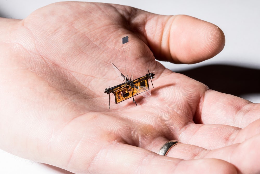 RoboFly - первый микро-робот, летающий на насекомых,
