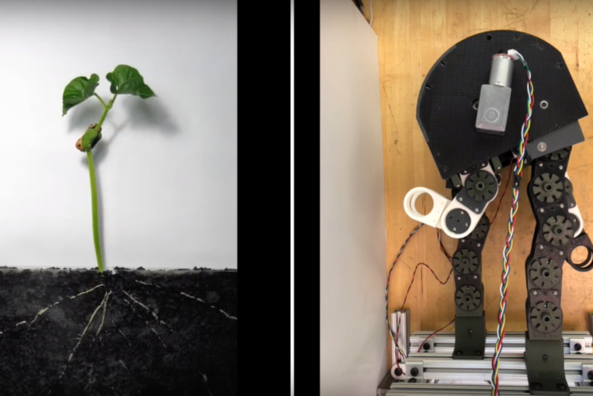 Робот MIT который развивается словно растение