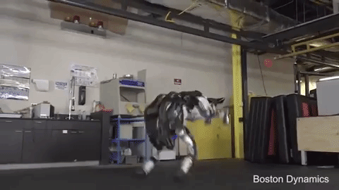 Робот от Boston Dynamics наконец то появиться на рынке