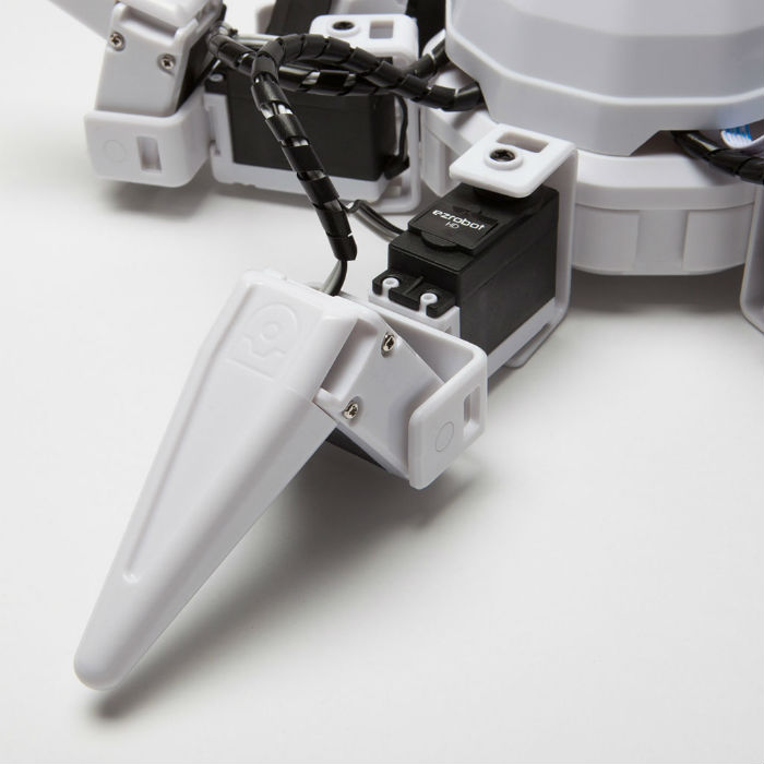 Шесть наборов роботов от Hexapod