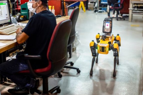 Новый миниатюрный робот Smartipresence которым можно управлять при помощи видеосвязи